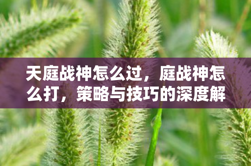 天庭战神怎么过，庭战神怎么打，策略与技巧的深度解析