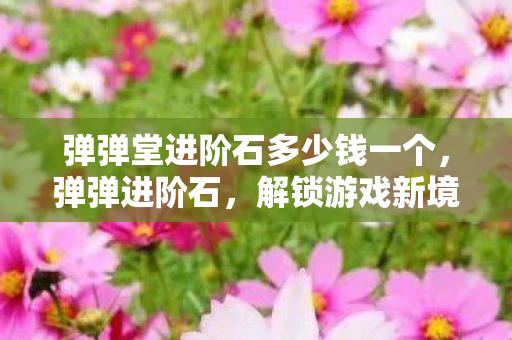 弹弹堂进阶石多少钱一个，弹弹进阶石，解锁游戏新境界的神奇钥匙