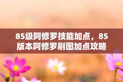 85版本阿修罗刷图加点攻略图片