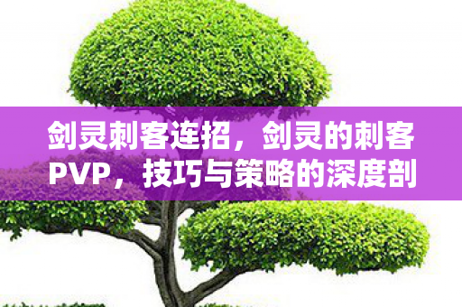 技巧与策略的深度剖析图片