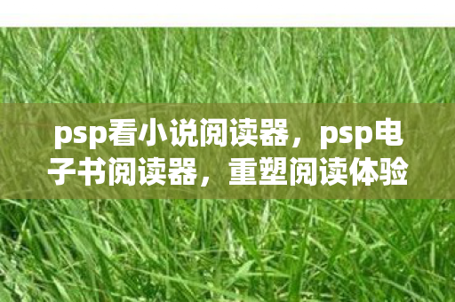 psp看小说阅读器,psp电子书阅读器,重塑阅读体验的智能设备 psp看小说阅读器,psp电子书阅读器,重塑阅读体验的智能设备