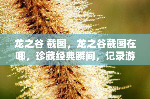 龙之谷截图在哪图片