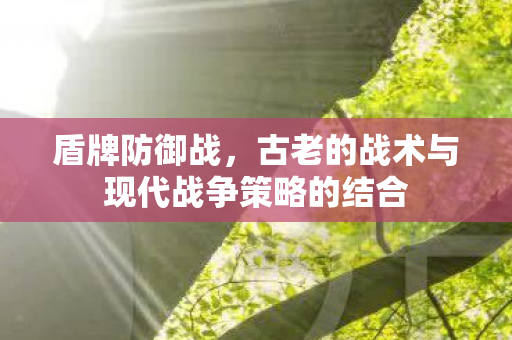 盾牌防御战,古老的战术与现代战争策略的结合 盾牌防御战,古老的战术与现代战争策略的结合
