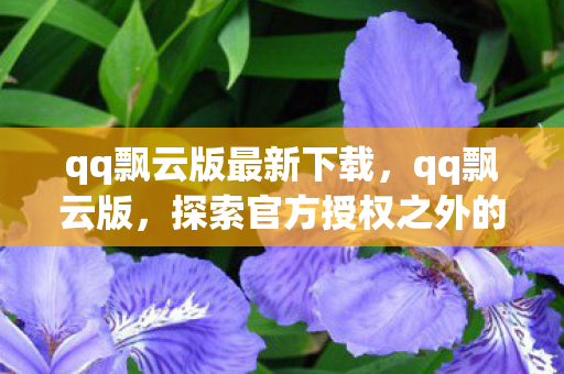 qq飘云版最新下载,qq飘云版,探索官方授权之外的娱乐新天地 qq飘云版最新下载,qq飘云版,探索官方授权之外的娱乐新天地