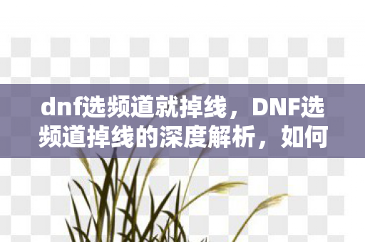 dnf选频道就掉线,DNF选频道掉线的深度解析,如何科学选择频道,避免频繁掉线 dnf选频道就掉线,DNF选频道掉线的深度解析,如何科学选择频道,避免频繁掉线
