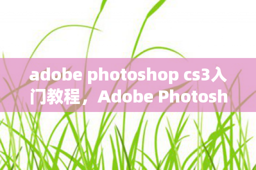 adobe photoshop cs3入门教程图片