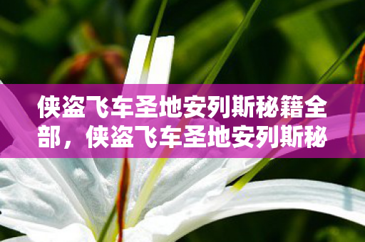 侠盗飞车圣地安列斯秘籍全部,侠盗飞车圣地安列斯秘籍,解锁无限可能 侠盗飞车圣地安列斯秘籍全部,侠盗飞车圣地安列斯秘籍,解锁无限可能