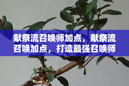 献祭流召唤师加点,献祭流召唤加点,打造最强召唤师的策略指南 献祭流召唤师加点,献祭流召唤加点,打造最强召唤师的策略指南