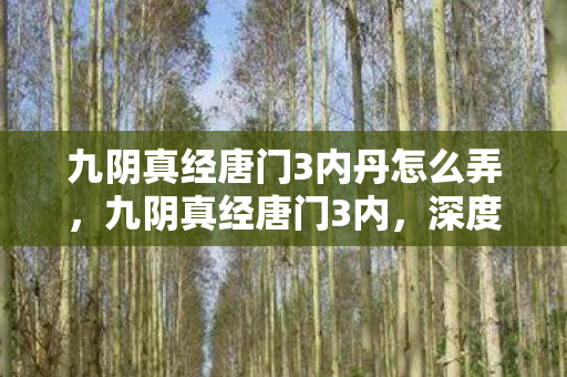 九阴真经唐门3内丹怎么弄,九阴真经唐门3内,深度解析唐门内功的奥秘 九阴真经唐门3内丹怎么弄,九阴真经唐门3内,深度解析唐门内功的奥秘