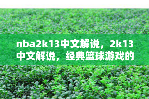 经典篮球游戏的回忆与情怀图片
