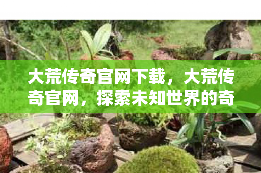 大荒传奇官网下载,大荒传奇官网,探索未知世界的奇幻之旅 大荒传奇官网下载,大荒传奇官网,探索未知世界的奇幻之旅