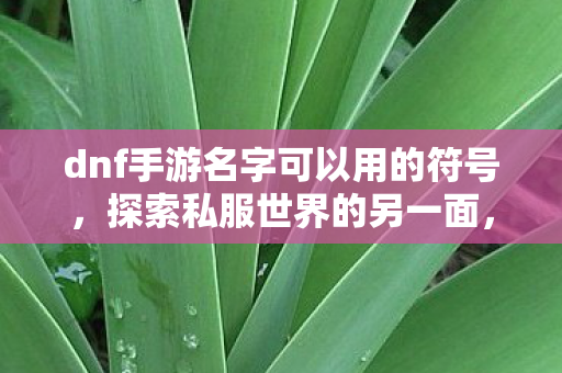 dnf手游名字可以用的符号,探索私服世界的另一面,游戏文化的自由与限制 dnf手游名字可以用的符号,探索私服世界的另一面,游戏文化的自由与限制