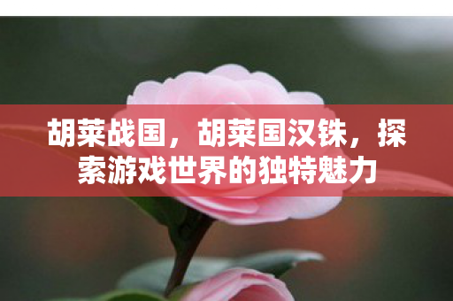 胡莱战国,胡莱国汉铢,探索游戏世界的独特魅力 胡莱战国,胡莱国汉铢,探索游戏世界的独特魅力