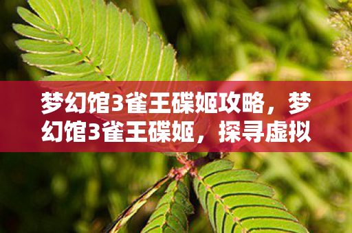 探寻虚拟世界的魅力与奥秘图片