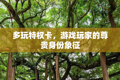 多玩特权卡,游戏玩家的尊贵身份象征 多玩特权卡,游戏玩家的尊贵身份象征