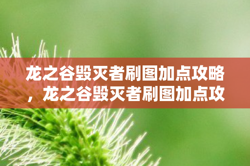 龙之谷毁灭者刷图加点攻略,龙之谷毁灭者刷图加点攻略 龙之谷毁灭者刷图加点攻略,龙之谷毁灭者刷图加点攻略