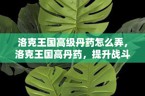 洛克王国高级丹药怎么弄图片