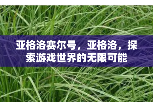 亚格洛赛尔号,亚格洛,探索游戏世界的无限可能 亚格洛赛尔号,亚格洛,探索游戏世界的无限可能