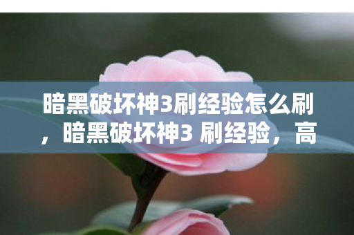 高效提升等级与装备的策略指南图片