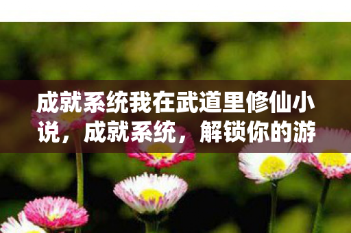成就系统我在武道里修仙小说图片