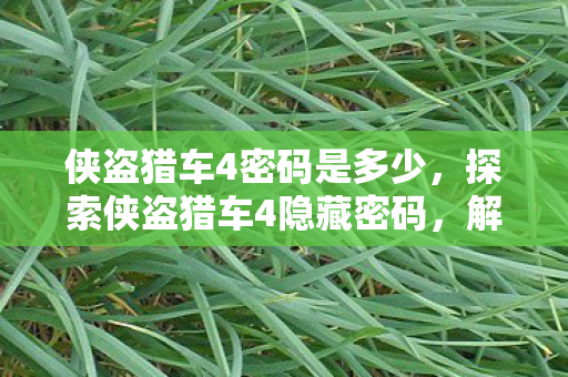 探索侠盗猎车4隐藏密码图片