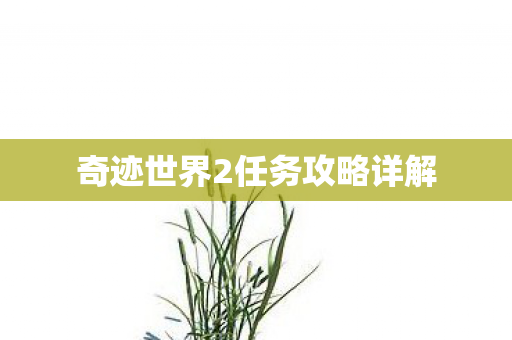 奇迹世界2任务攻略详解 奇迹世界2任务攻略详解