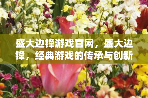 经典游戏的传承与创新图片