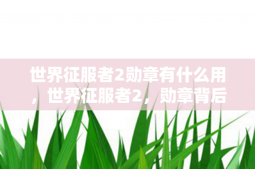 世界征服者2勋章有什么用，世界征服者2，勋章背后的荣耀与策略