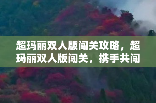 超玛丽双人版闯关攻略,超玛丽双人版闯关,携手共闯奇幻冒险之旅 超玛丽双人版闯关攻略,超玛丽双人版闯关,携手共闯奇幻冒险之旅