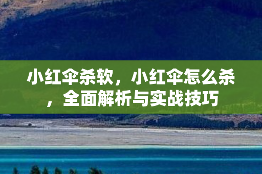 小红伞杀软,小红伞怎么杀,全面解析与实战技巧 小红伞杀软,小红伞怎么杀,全面解析与实战技巧