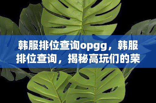 韩服排位查询opgg图片