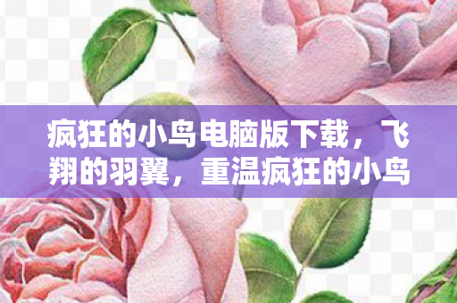 重温疯狂的小鸟电脑版的经典之旅图片