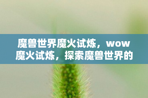 探索魔兽世界的火焰试炼之路图片