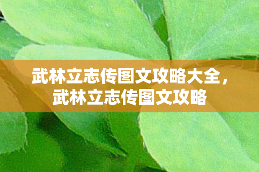 武林立志传图文攻略大全图片