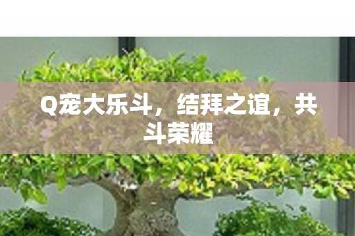 Q宠大乐斗,结拜之谊,共斗荣耀 Q宠大乐斗,结拜之谊,共斗荣耀