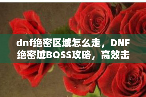 dnf绝密区域怎么走,DNF绝密域BOSS攻略,高效击败挑战 dnf绝密区域怎么走,DNF绝密域BOSS攻略,高效击败挑战