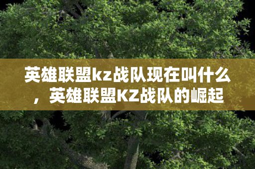 英雄联盟kz战队现在叫什么,英雄联盟KZ战队的崛起与战术解析 英雄联盟kz战队现在叫什么,英雄联盟KZ战队的崛起与战术解析