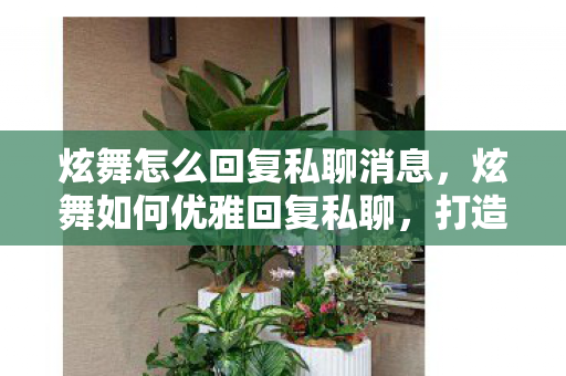 炫舞怎么回复私聊消息图片