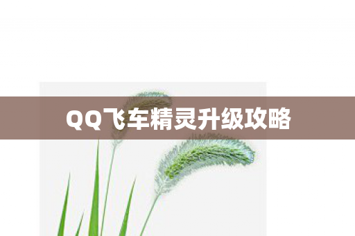 QQ飞车精灵升级攻略 QQ飞车精灵升级攻略