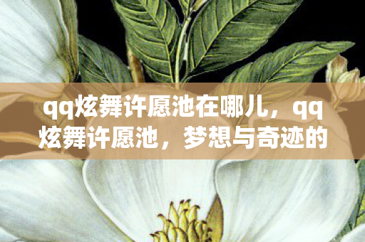 qq炫舞许愿池在哪儿图片