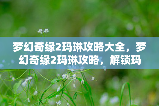 梦幻奇缘2玛琳攻略大全图片