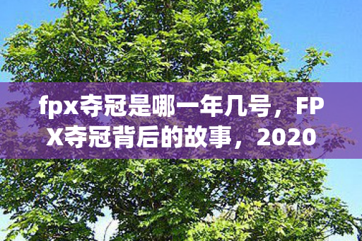 fpx夺冠是哪一年几号图片