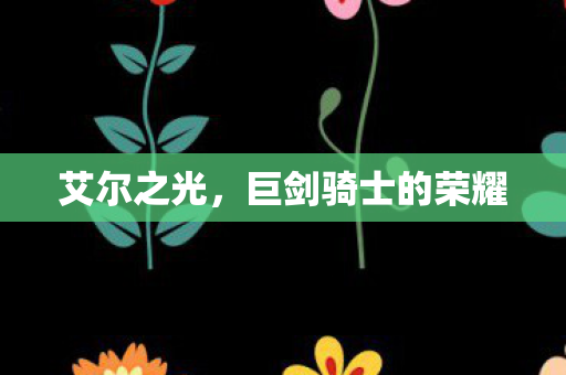 艾尔之光，巨剑骑士的荣耀