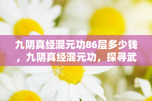九阴真经混元功86层多少钱图片