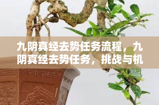 九阴真经去势任务流程图片