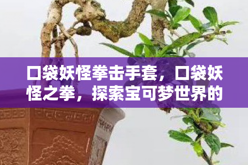 探索宝可梦世界的战斗艺术图片