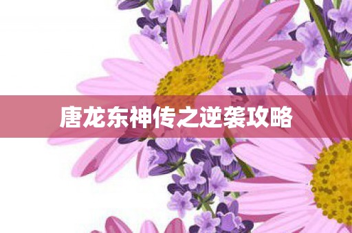 唐龙东神传之逆袭攻略 唐龙东神传之逆袭攻略