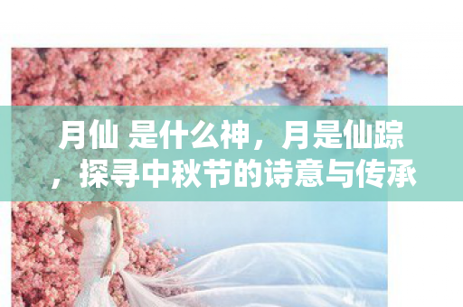 探寻中秋节的诗意与传承图片