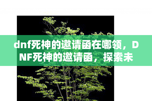 dnf死神的邀请函在哪领图片