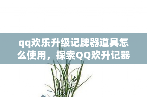 qq欢乐升级记牌器道具怎么使用图片